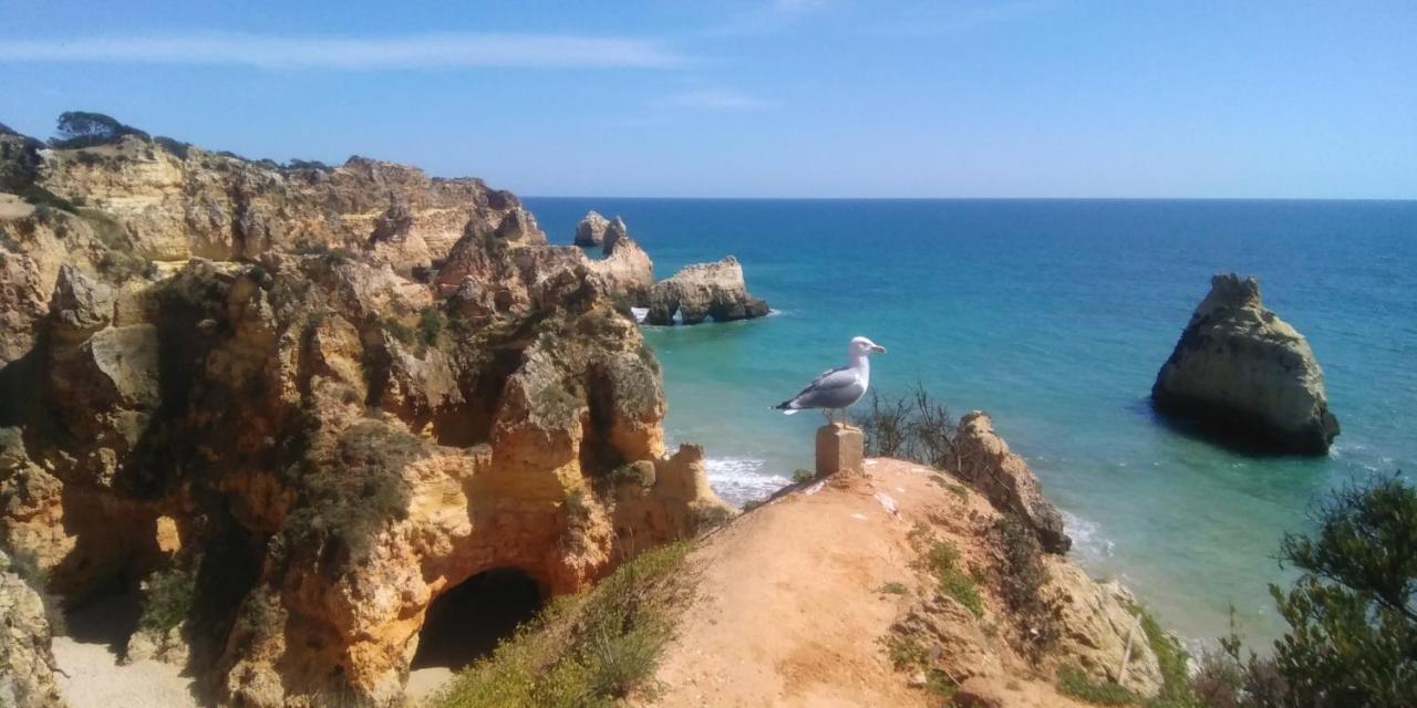 T2 De Luxo Em Albur-Village A 10 Minutos Da Praia A Pe Alvor Exterior foto